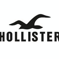 hollister replica clothing uk|hollister website.